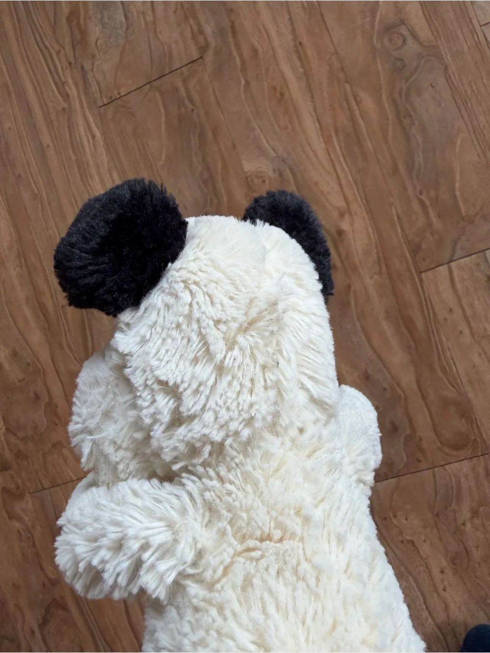 Jellycat bashful dog